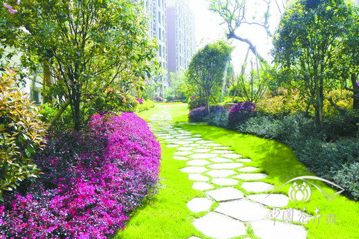 黃銹冰裂紋與草皮的搭配