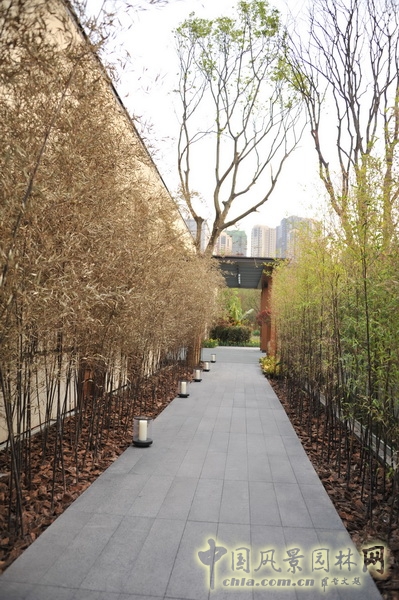 鵬匯 CBD會所 景觀設計 何小強