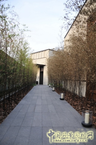 鵬匯 CBD會所 景觀設計 何小強