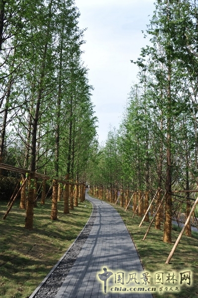 鵬匯 CBD會所 景觀設計 何小強