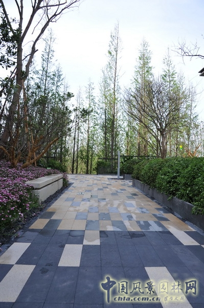 鵬匯 CBD會所 景觀設計 何小強