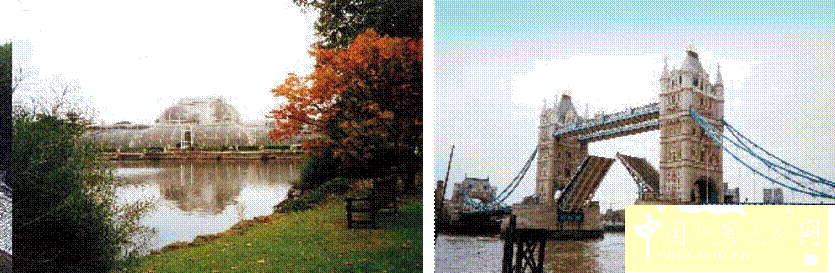 城市園林 城市綠化 花卉產(chǎn)業(yè) 植物園