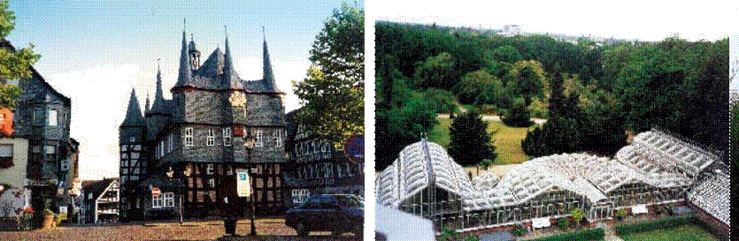 城市園林 城市綠化 花卉產業 植物園