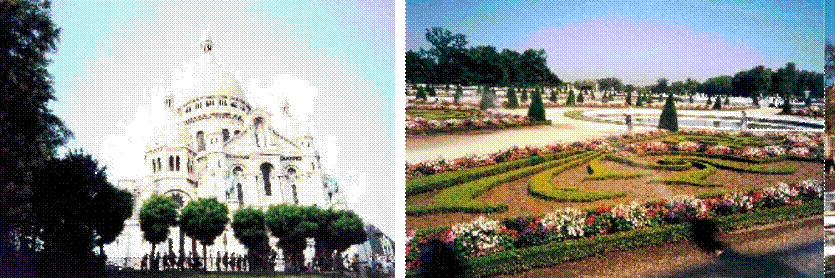 城市園林 城市綠化 花卉產(chǎn)業(yè) 植物園