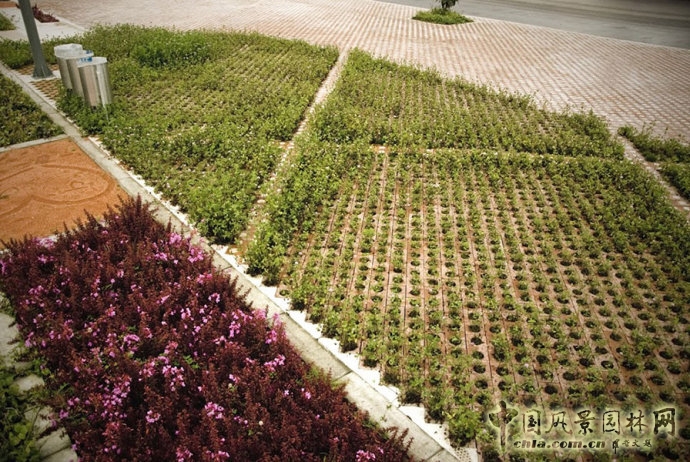哥倫比亞Santodomingo圖書館公園
