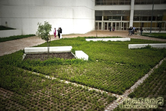哥倫比亞Santodomingo圖書(shū)館公園