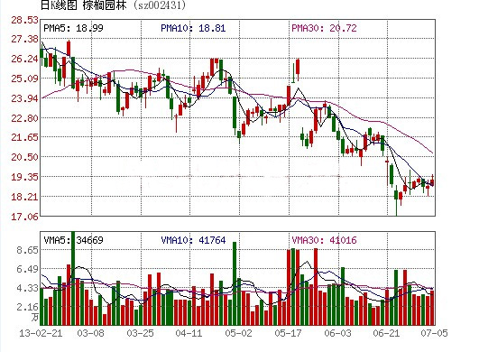 棕櫚園林 園林企業(yè)