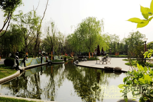 天開園林 碧桂園 景觀工程