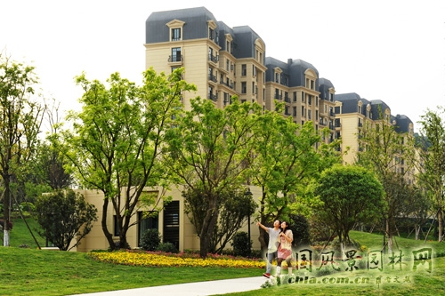 天開園林 萬科五龍山 景觀工程 住宅景觀