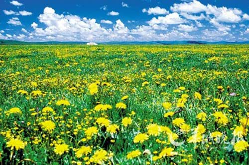 濕地 最美濕地 十大濕地 濕地景觀