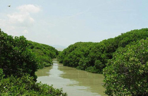 濕地 最美濕地 十大濕地 濕地景觀