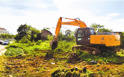 水景 綠化 植物