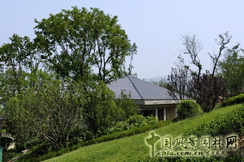 天開園林 魯能領秀城 景觀工程