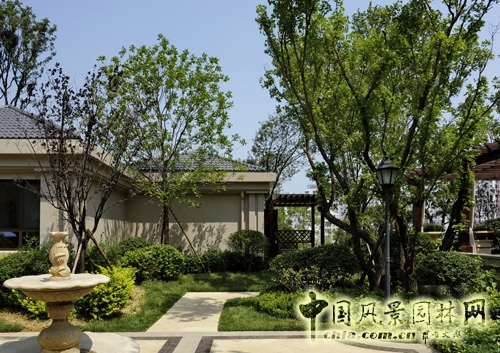 天開園林 魯能領秀城 景觀工程