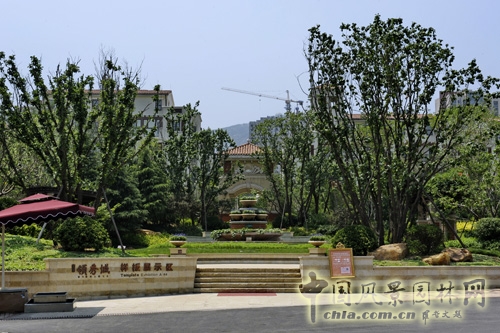 天開園林 魯能領秀城 景觀工程