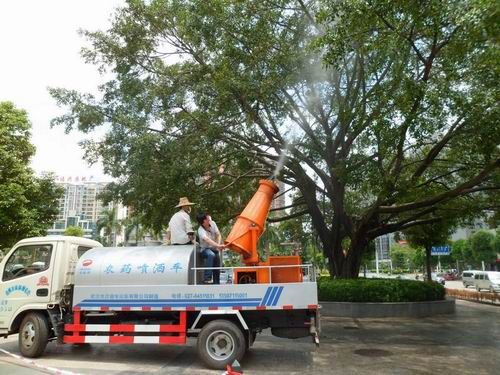 廣西 綠化 養(yǎng)護(hù)