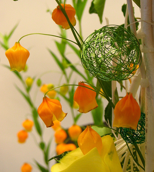 宮燈百合 花卉 百合