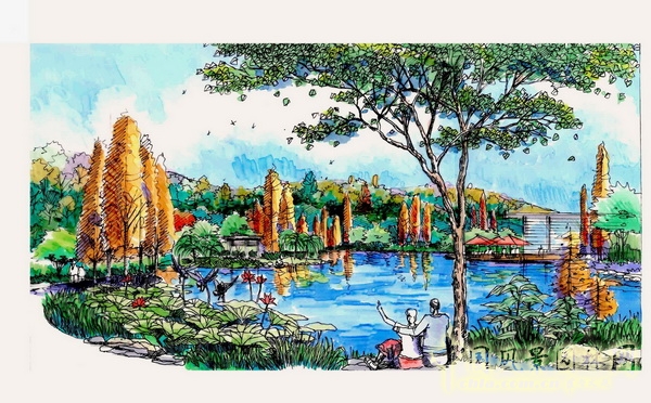 住宅景觀獎 湘江一號 山水比德 景觀設計 中國風景園林網