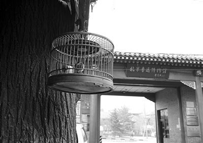 名人故居 文物保護 故居保護 宋慶齡故居