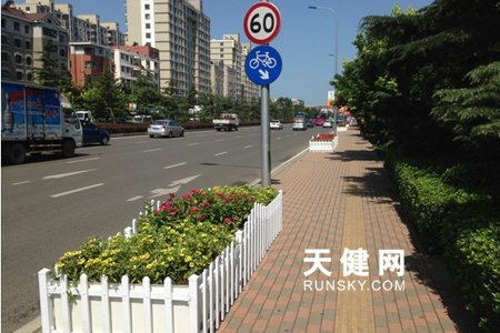 遼寧 花卉 全運會