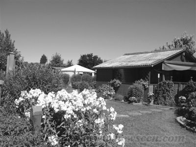 7月20日，漢堡國際園藝展區保留了原有居民小院