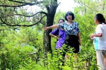 青島 瀕危植物 景區(qū)