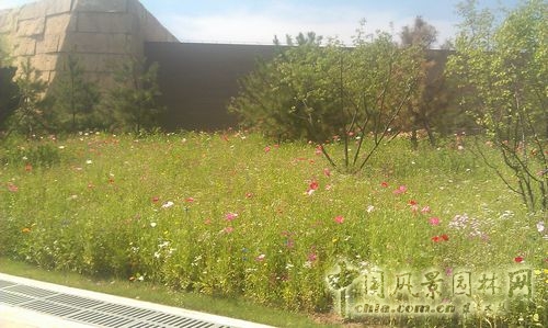 北京谷泉會議中心 上海園林 綠化工程 園林綠化