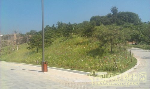 北京谷泉會(huì)議中心 上海園林 綠化工程 園林綠化