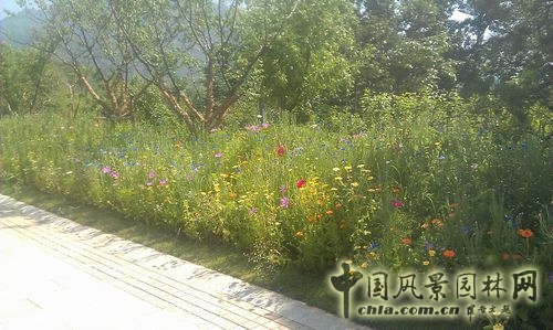 北京谷泉會(huì)議中心 上海園林 綠化工程 園林綠化