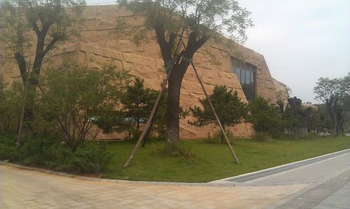 北京谷泉會(huì)議中心 上海園林 綠化工程 園林綠化