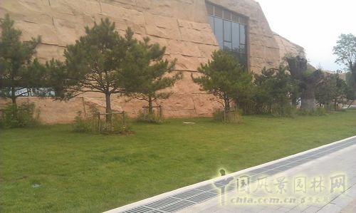 北京谷泉會(huì)議中心 上海園林 綠化工程 園林綠化