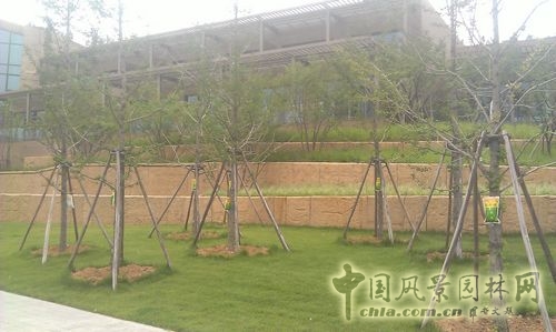 北京谷泉會議中心 上海園林 綠化工程 園林綠化