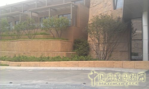 北京谷泉會議中心 上海園林 綠化工程 園林綠化