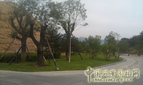 北京谷泉會議中心 上海園林 綠化工程 園林綠化