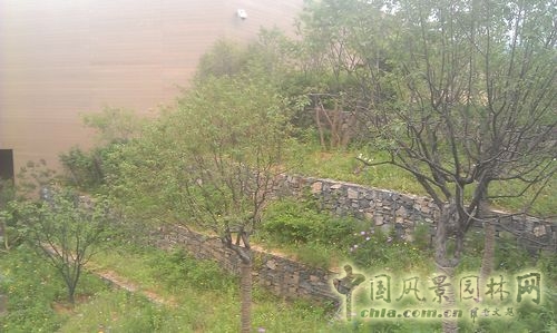 北京谷泉會議中心 上海園林 綠化工程 園林綠化