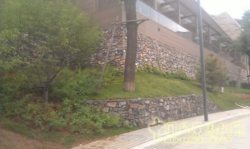 北京谷泉會議中心 上海園林 綠化工程 園林綠化