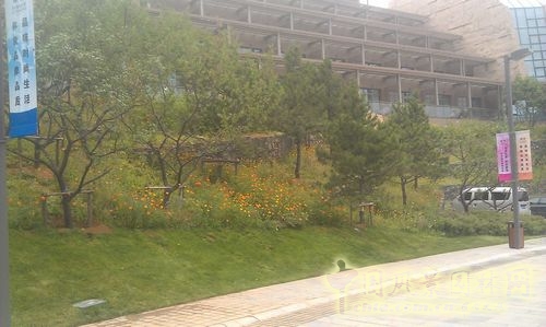 北京谷泉會議中心 上海園林 綠化工程 園林綠化