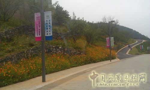 北京谷泉會議中心 上海園林 綠化工程 園林綠化