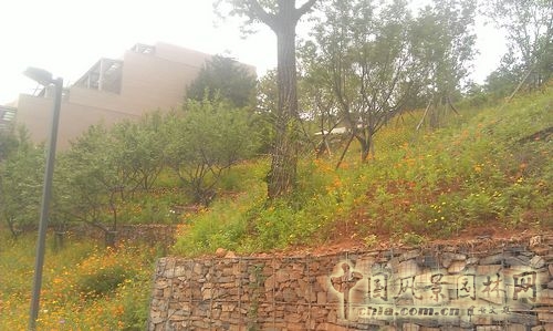 北京谷泉會議中心 上海園林 綠化工程 園林綠化