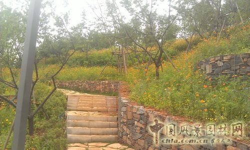 北京谷泉會議中心 上海園林 綠化工程 園林綠化