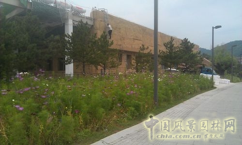 北京谷泉會議中心 上海園林 綠化工程 園林綠化