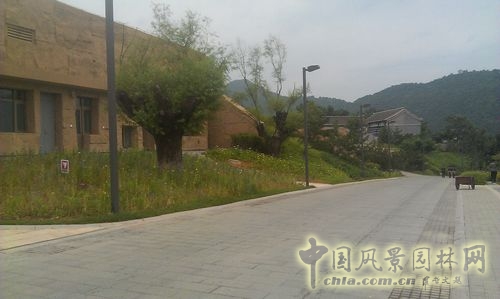 北京谷泉會議中心 上海園林 綠化工程 園林綠化