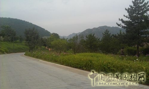 北京谷泉會議中心 上海園林 綠化工程 園林綠化