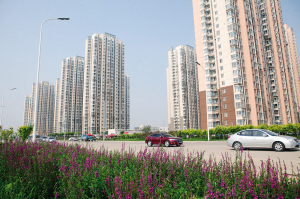 天津東西沽還遷房綠化工程