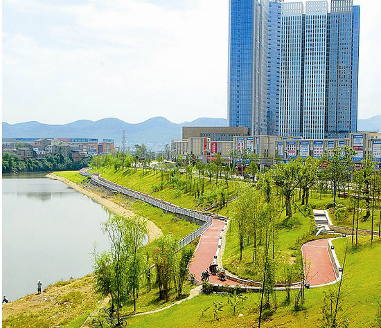 伍家崗柏臨河護(hù)坡綠化景觀 