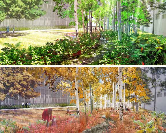 丹佛退伍軍人管理局醫療中心