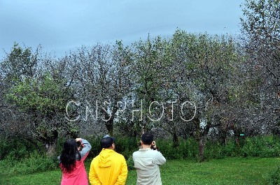 伊犁那拉提干旱區(qū)植物園