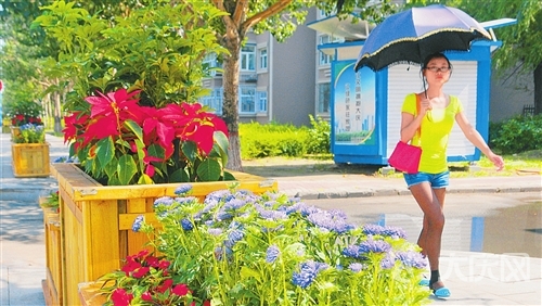 黑龍江 花卉 村莊