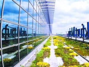 屋頂綠化 空間綠化 花園城市 城市綠化