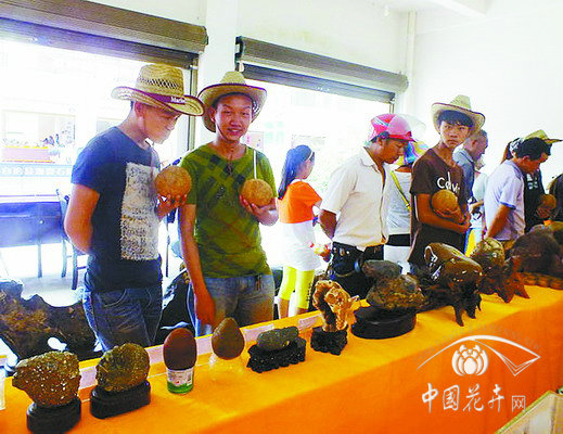 昆明 石林 賞石